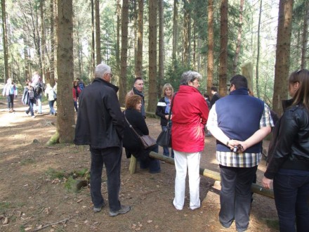 Fütterung der Nachtjäger im Wildwald Vosswinkel